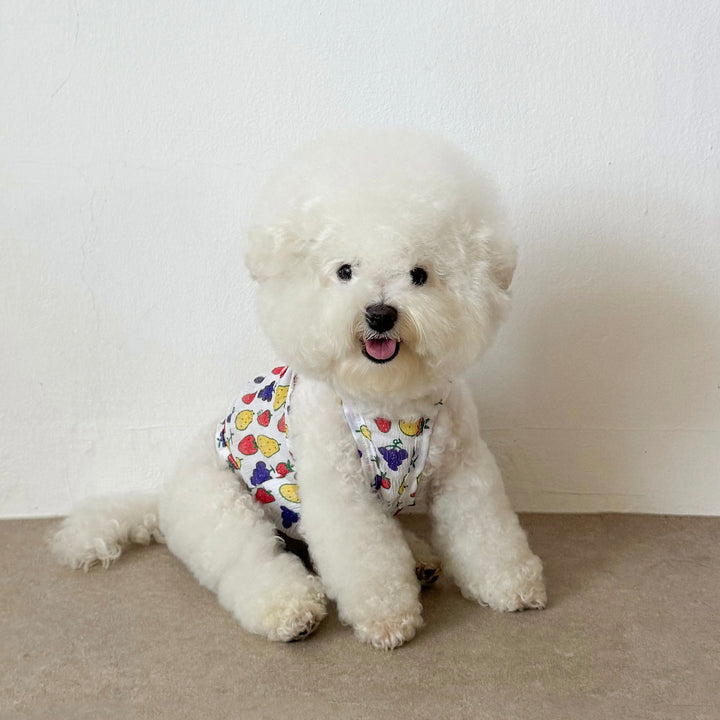 ※予約販売【CRR】Tiny Fruit Summer Strap Top