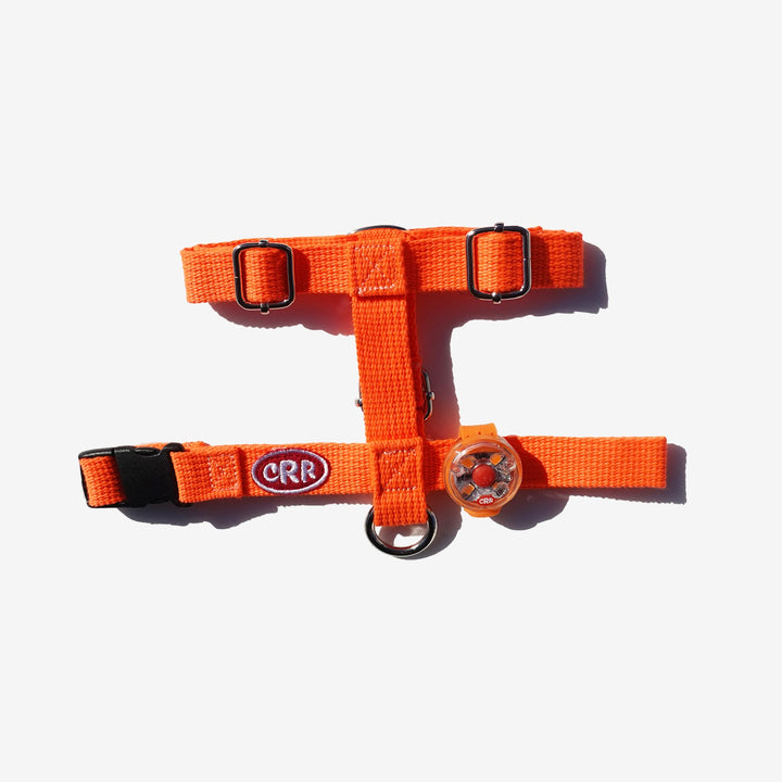 即納【CRR】Candy Pop LED Pendant（7color）