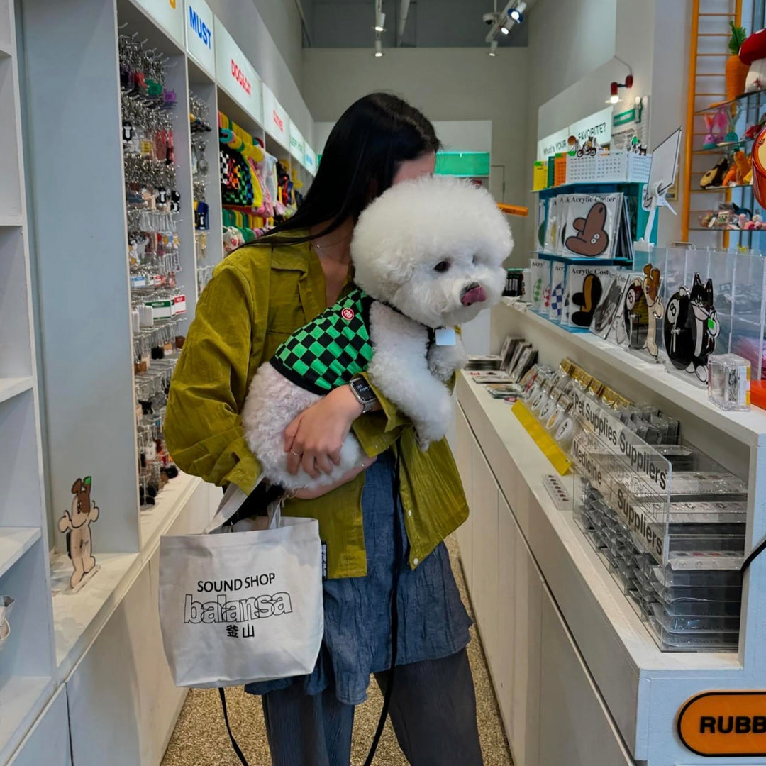 ※予約販売【CRR】CRR Leash（6color）