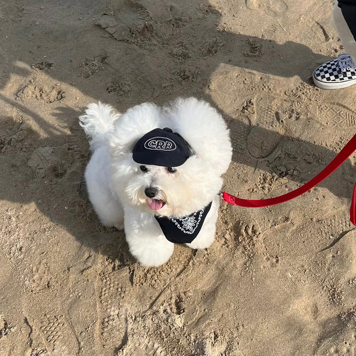 ※予約販売【CRR】CRR Leash（6color）