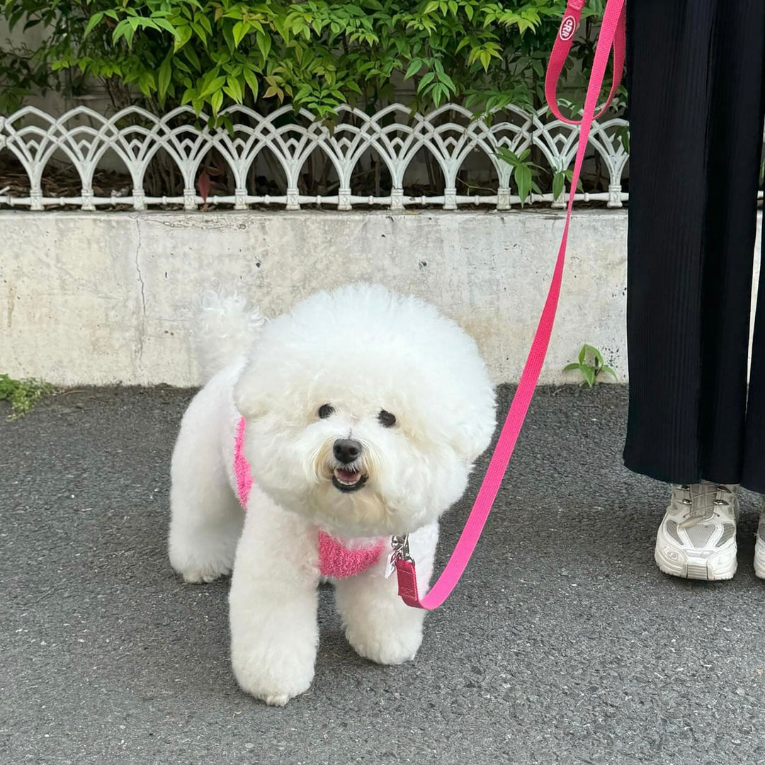 ※予約販売【CRR】CRR Leash（6color）