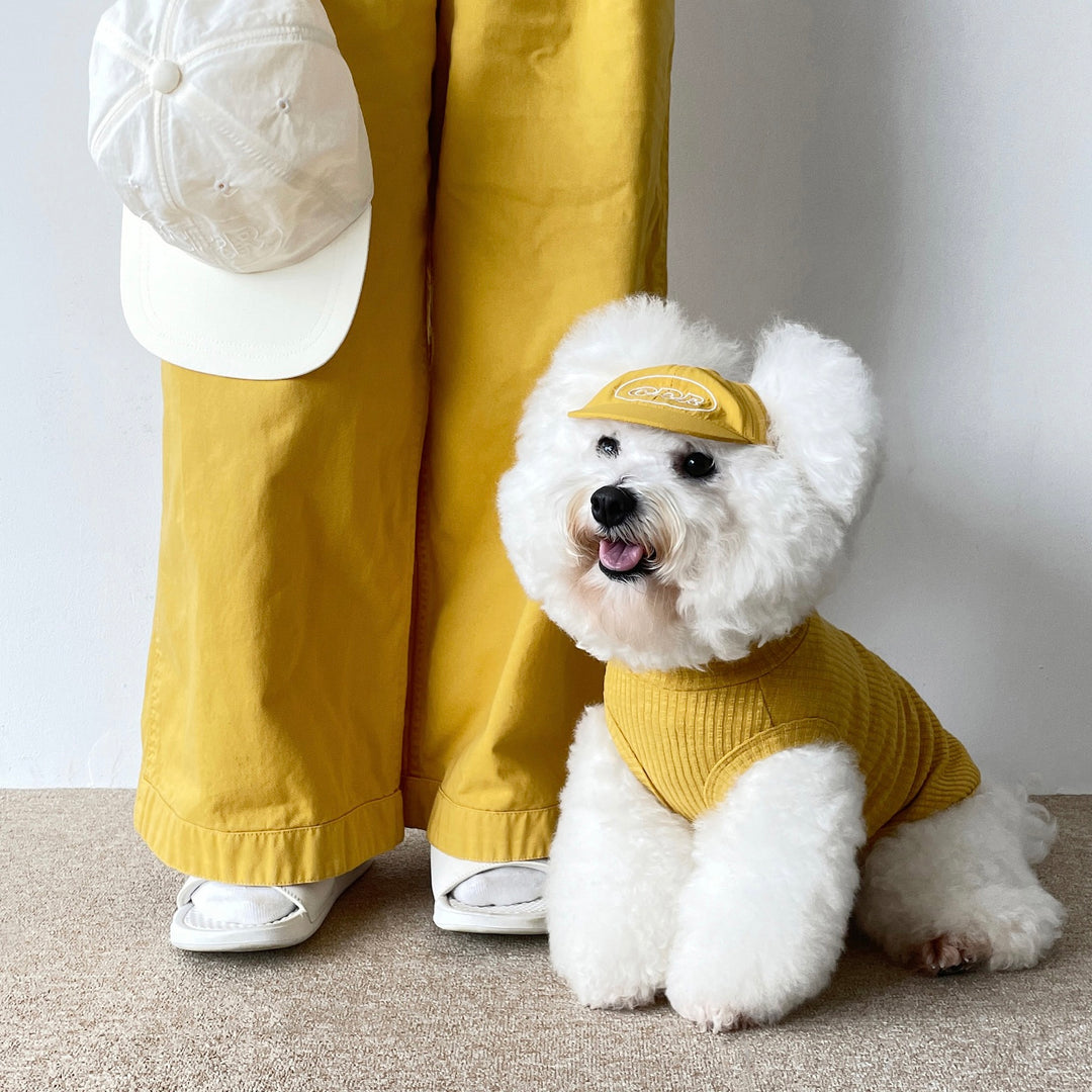 ※予約販売【CRR】CRR Nylon Cap（6color）