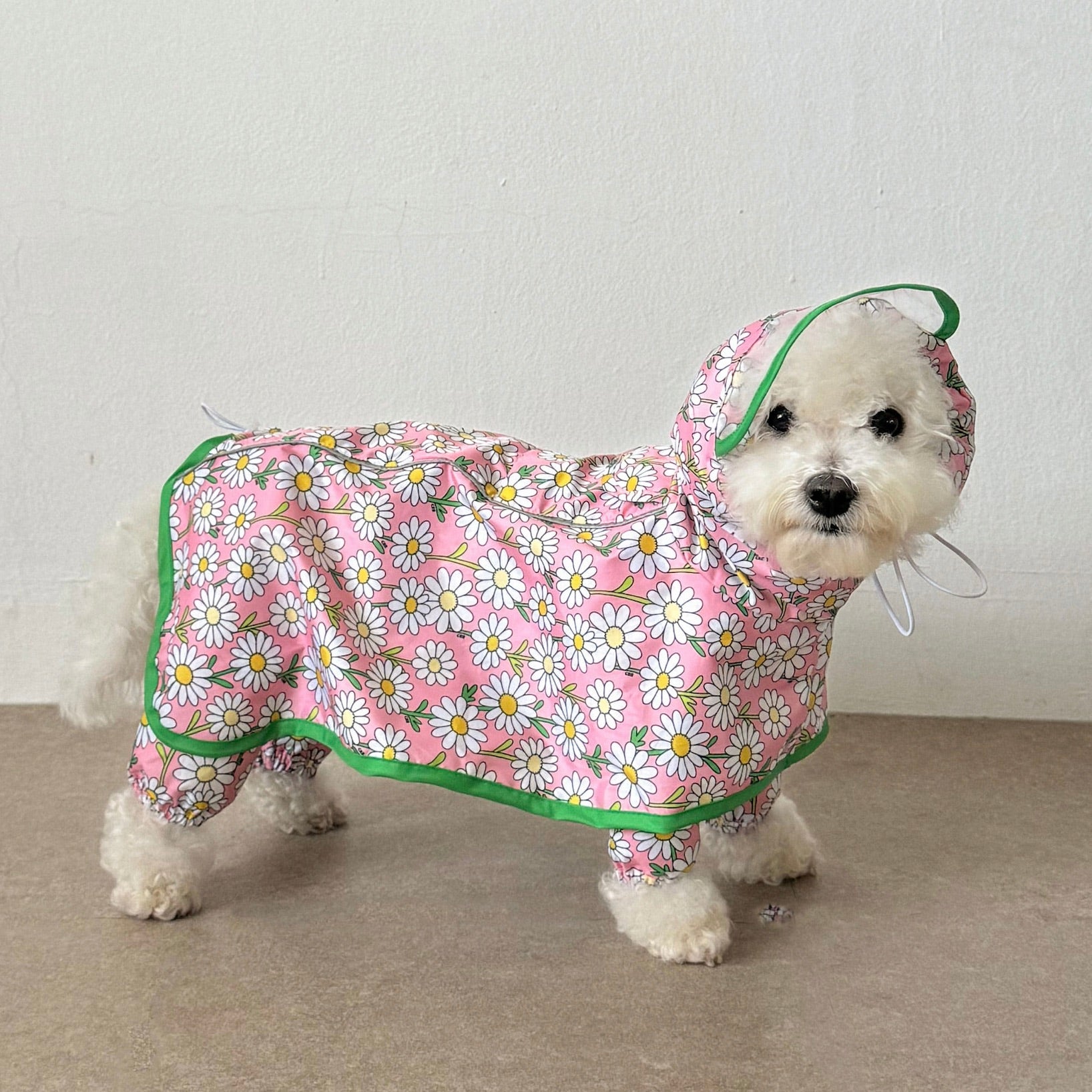 海外犬服 高品質なインポートのドッグウェア通販 