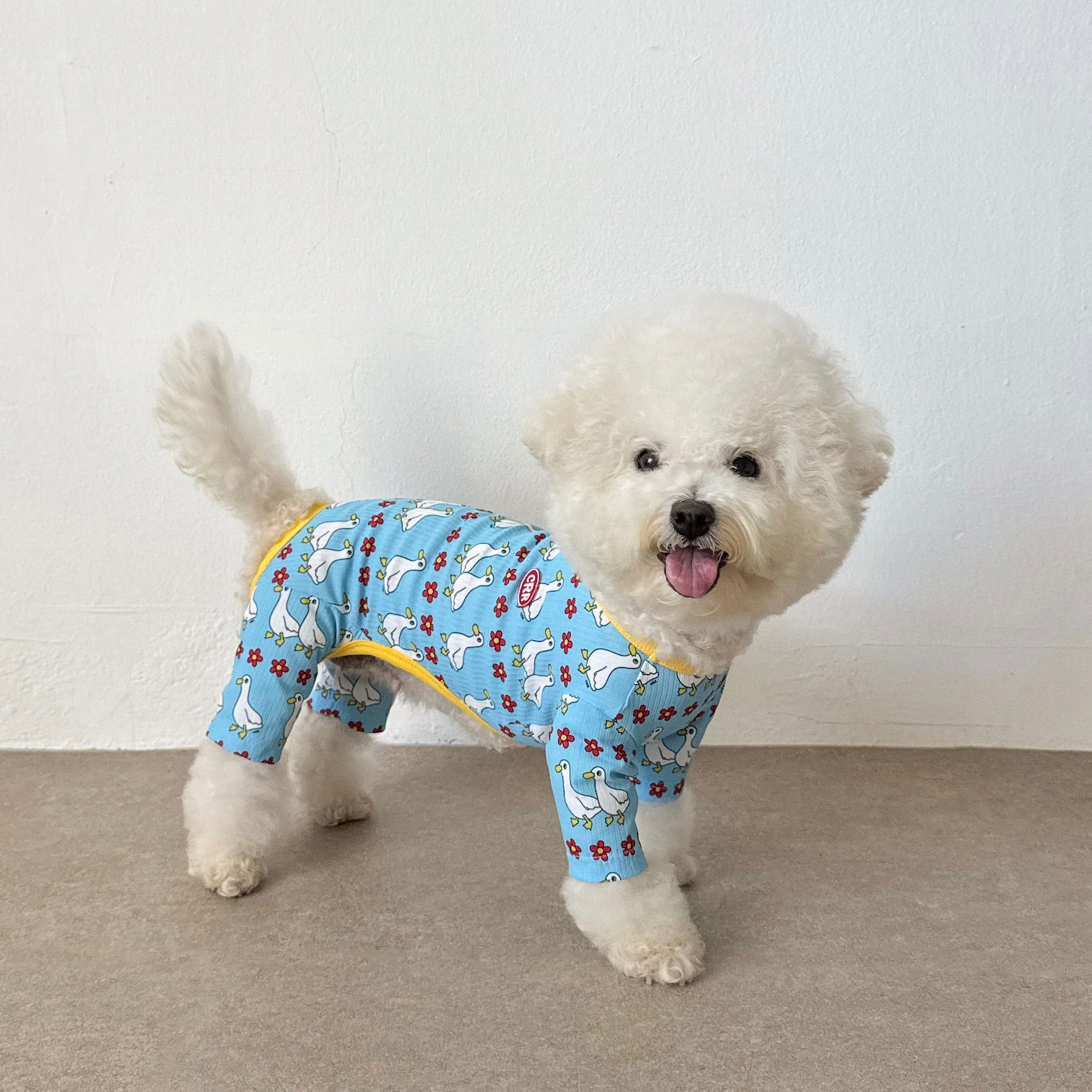 海外犬服 高品質なインポートのドッグウェア通販 