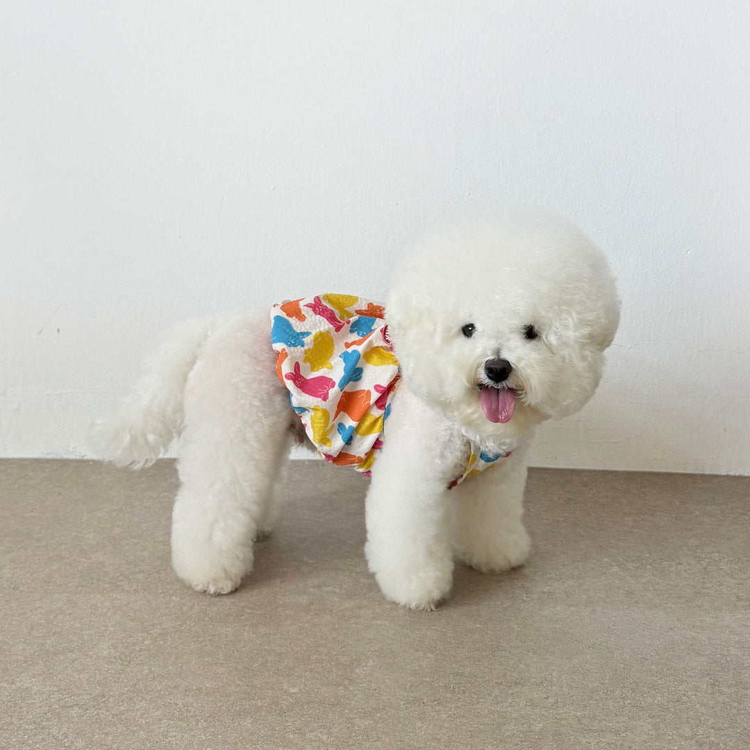 ※予約販売【CRR】Rabbit Color Balloon Top