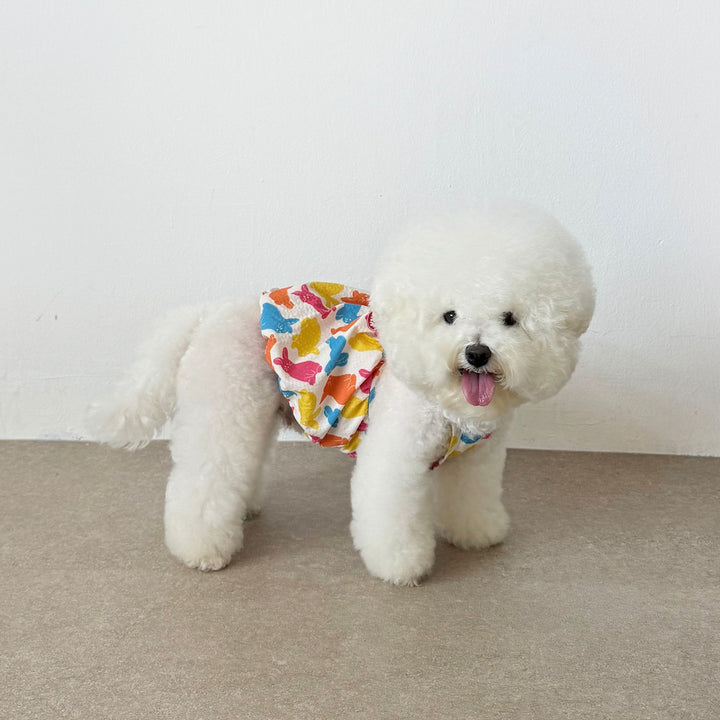 ※予約販売【CRR】Rabbit Color Balloon Top