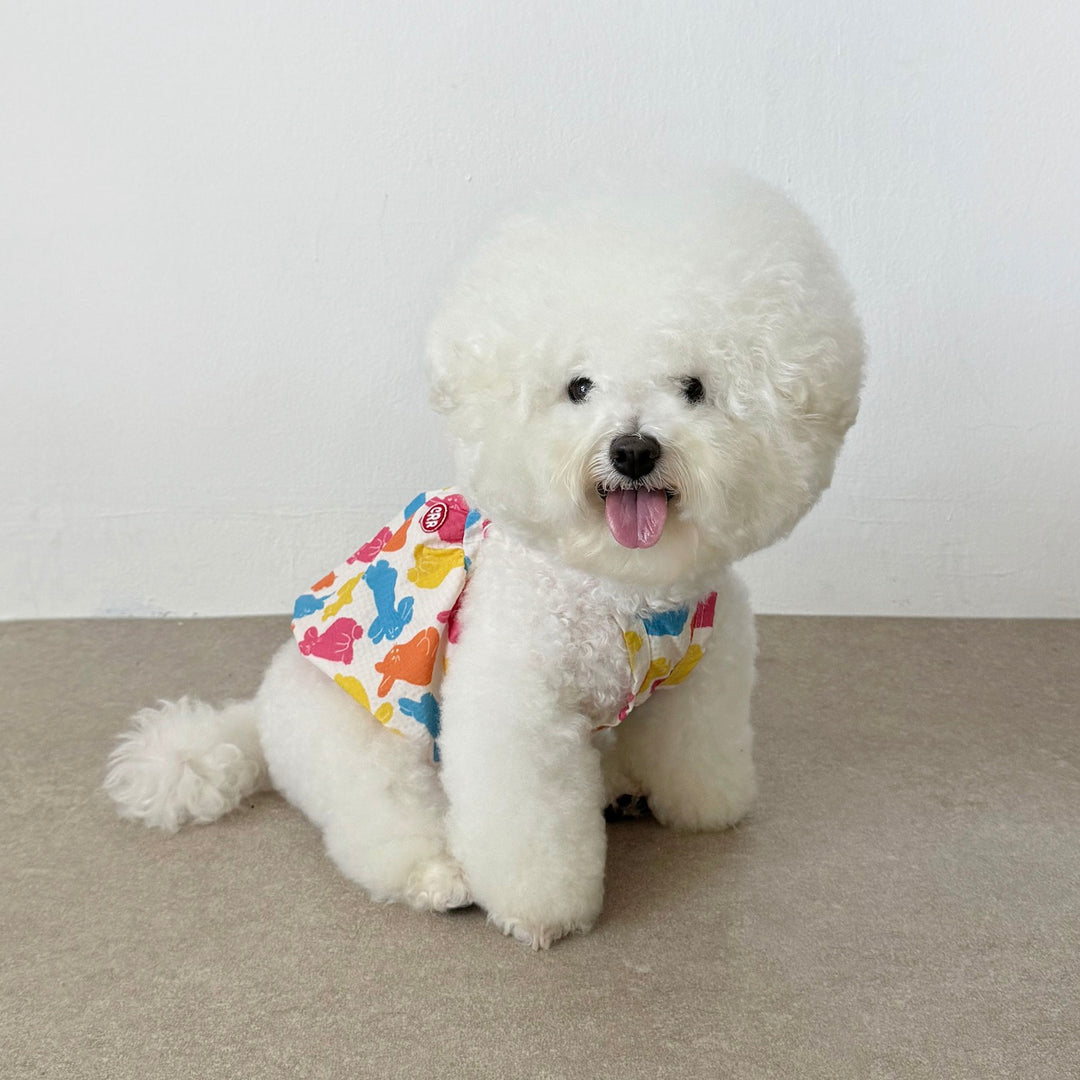 ※予約販売【CRR】Rabbit Color Balloon Top