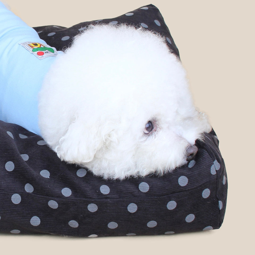 ※予約販売【CRR】Dot Corduroy Plus Cushion（4color）