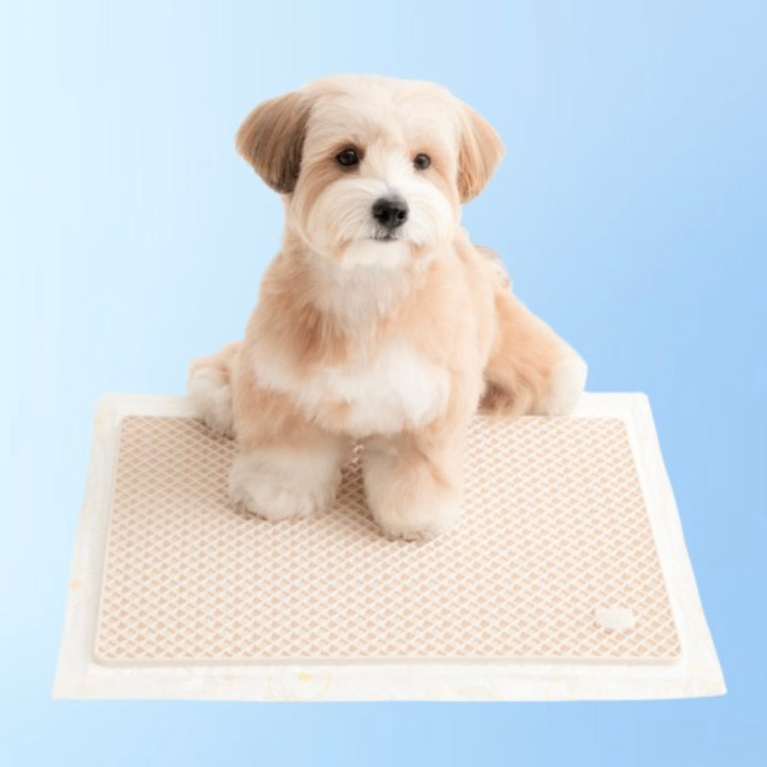 ※予約販売【BITE ME】Zero Guard Silicone Mat（2colors）