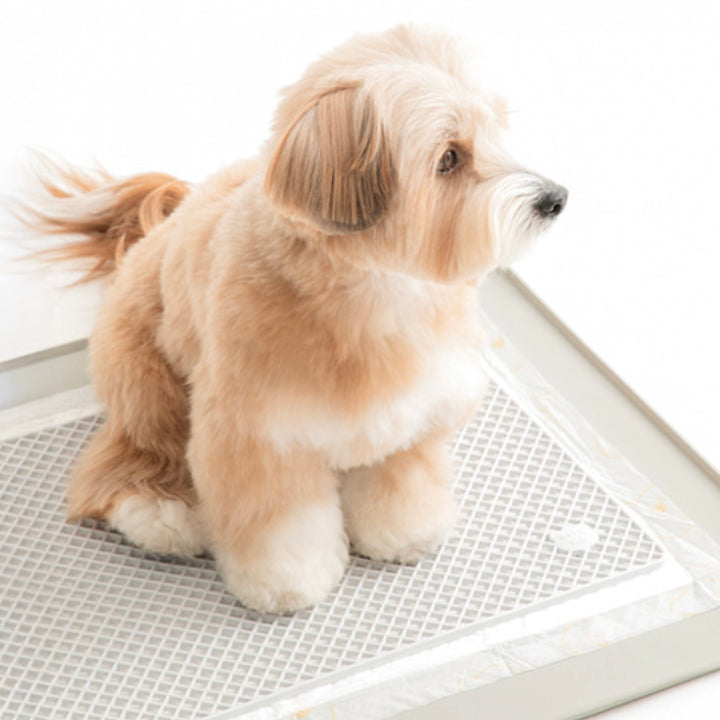 ※予約販売【BITE ME】Zero Guard Silicone Mat（2colors）