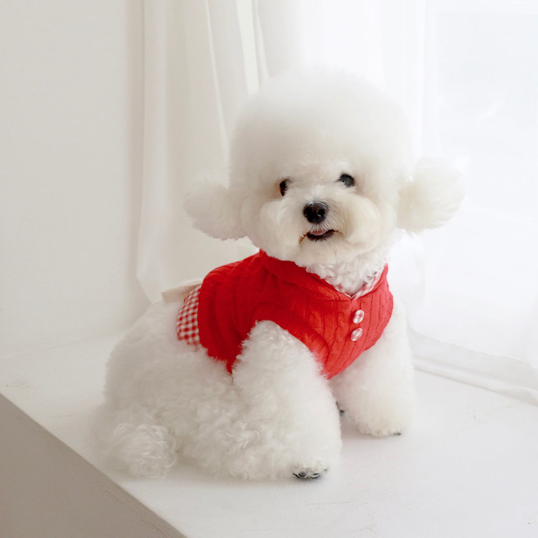 ※予約販売【near by us】Cable Knit Crop Top（vintage red）