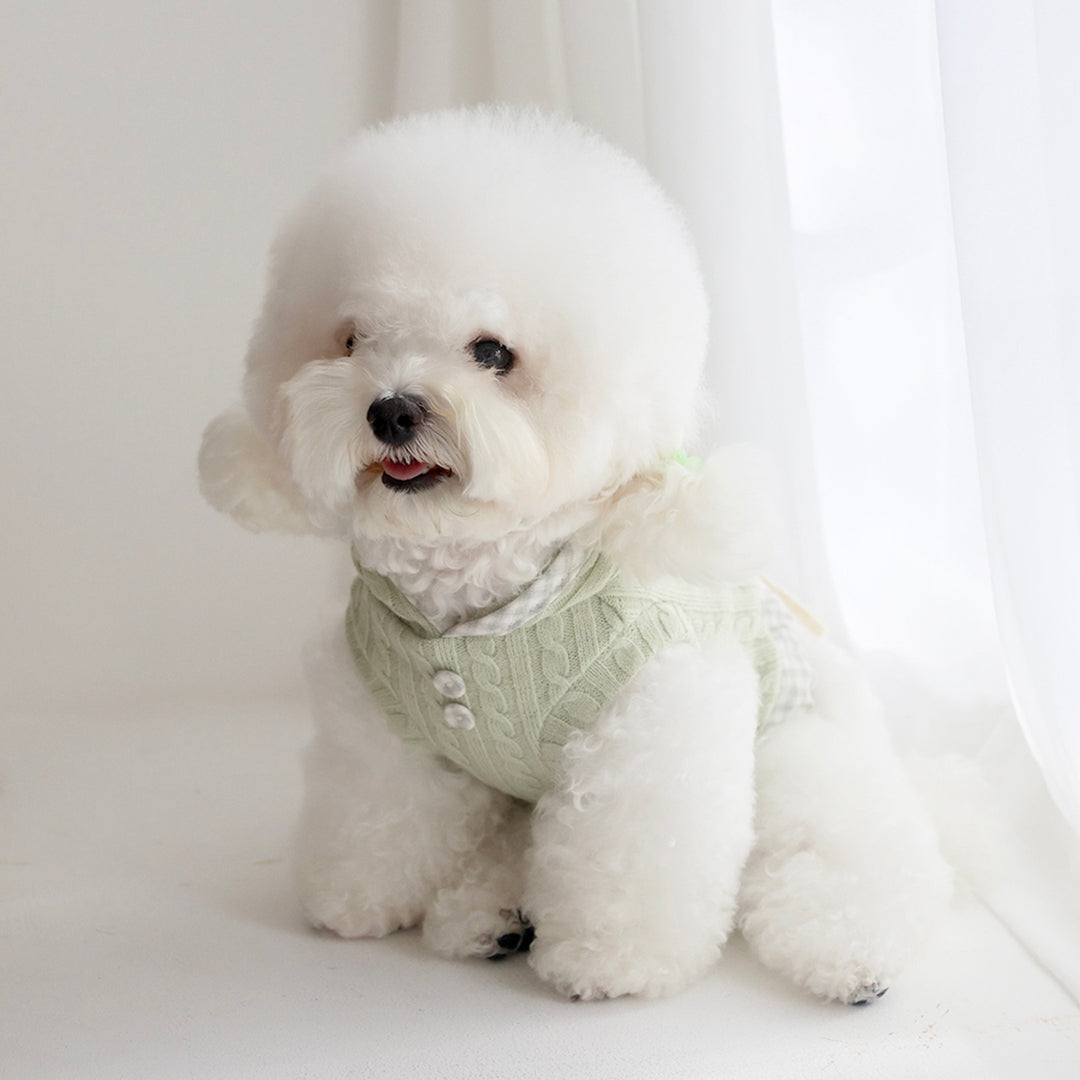 ※予約販売【near by us】Cable Knit Crop Top（sage green）