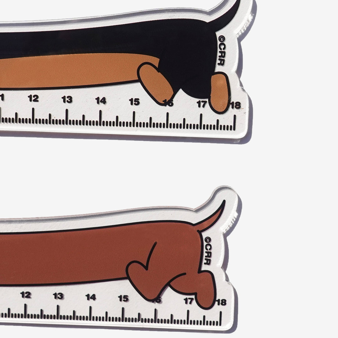 ※予約販売【CRR】Dachs Ruler