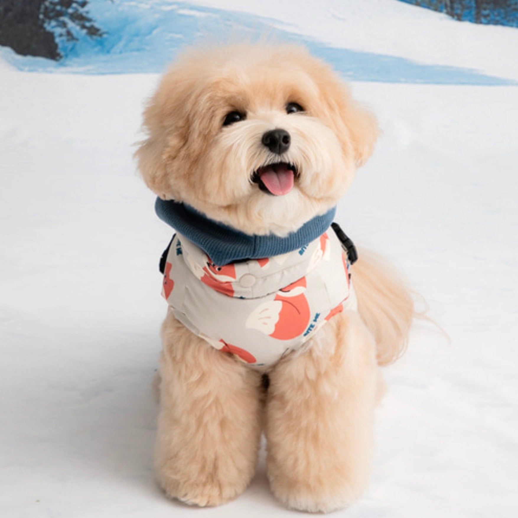 海外犬服 高品質なインポートのドッグウェア通販 