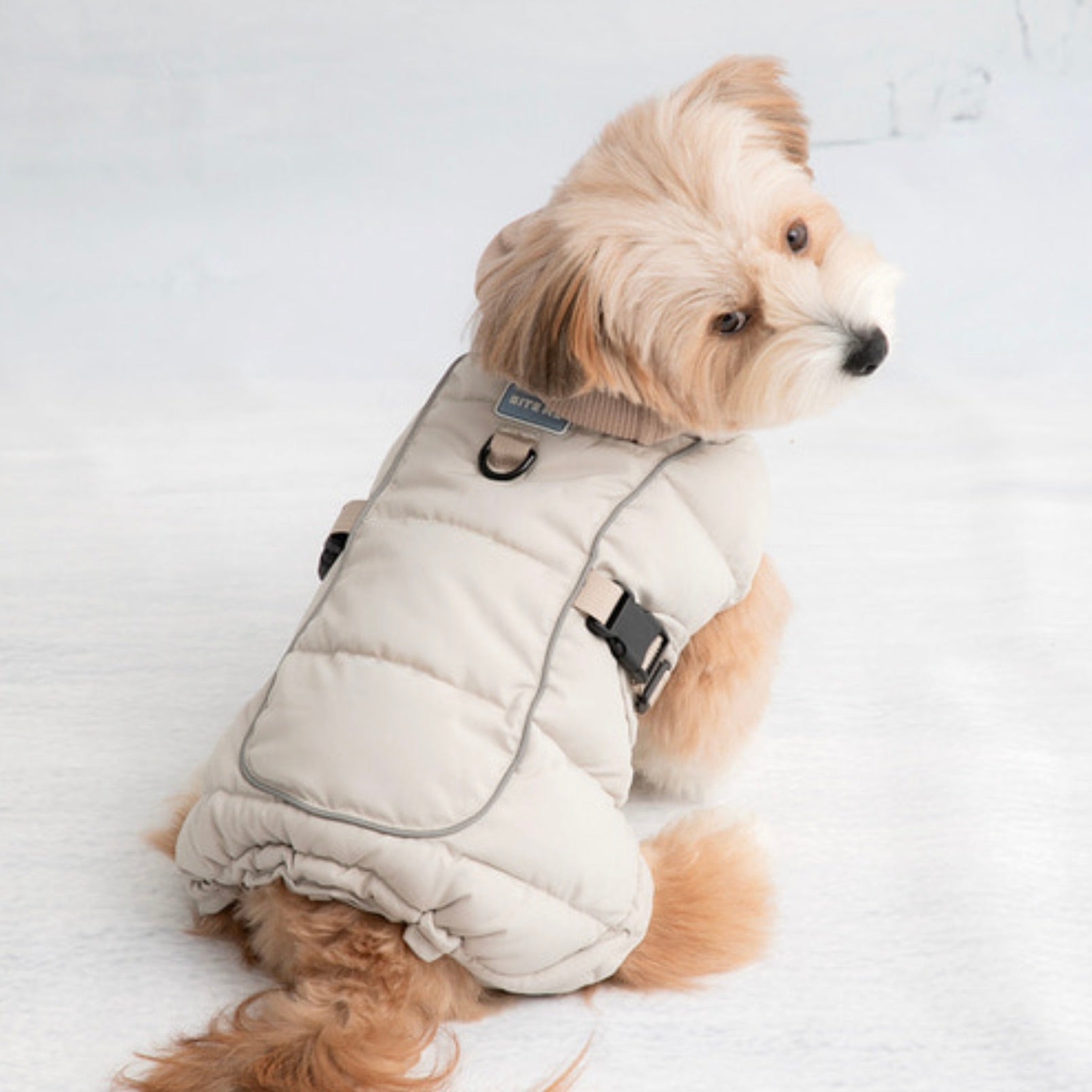 海外犬服 高品質なインポートのドッグウェア通販 