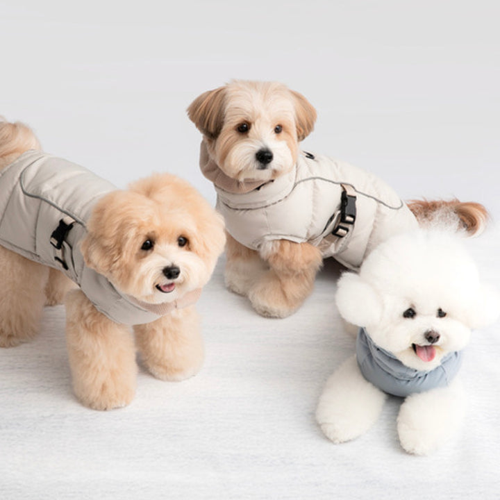 即納【BITE ME】Double Heat Padding v3（Solid 2colors）