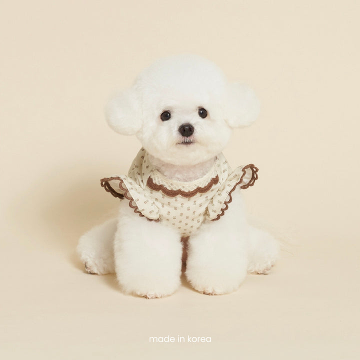 即納【meaningless】Backless Shirts