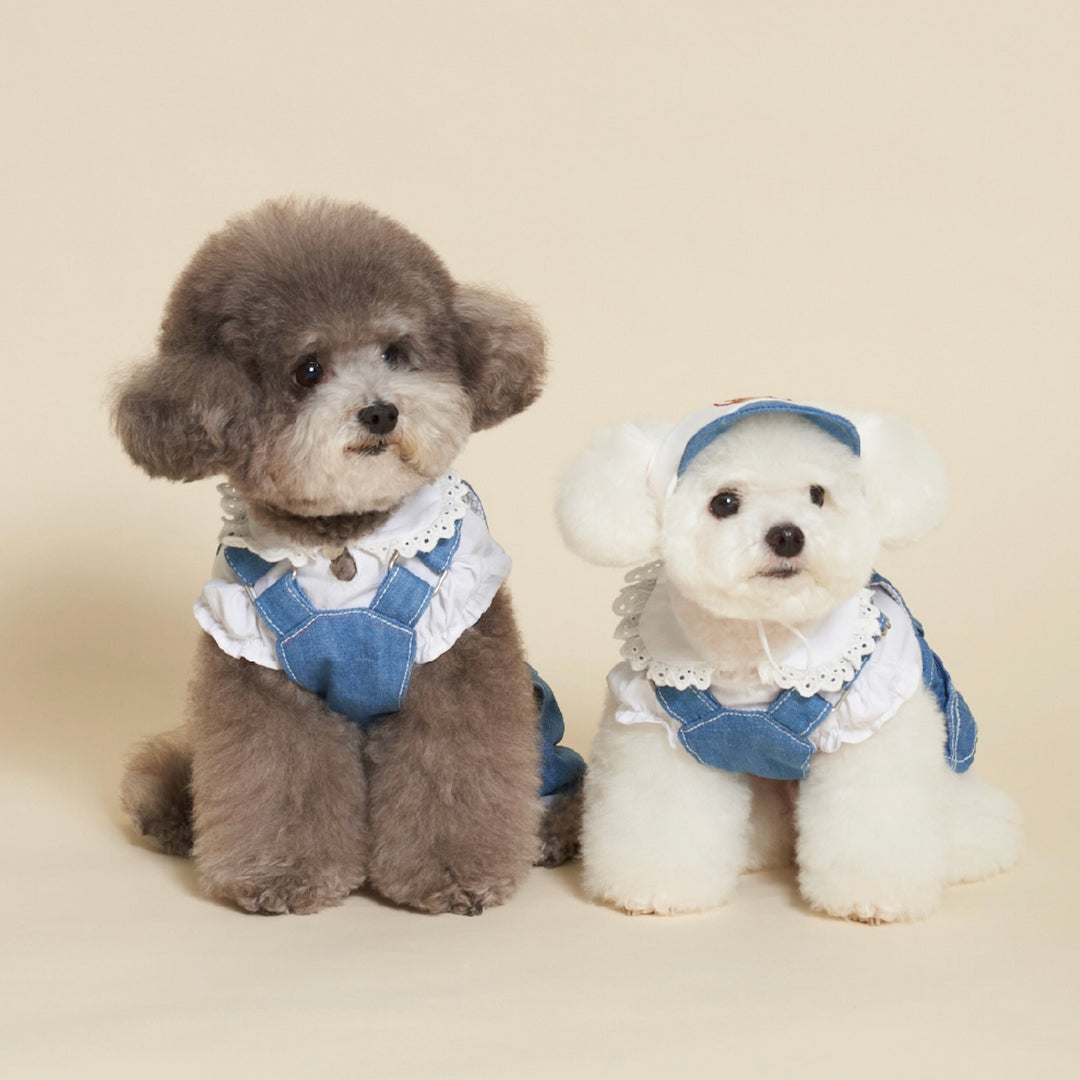 ※予約販売【meaningless】Gosomi Denim Pants