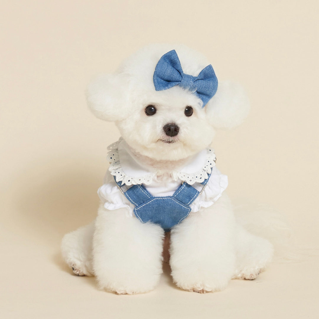 ※予約販売【meaningless】Gosomi Denim Dress