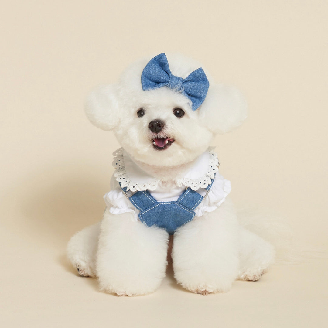 ※予約販売【meaningless】Gosomi Denim Dress