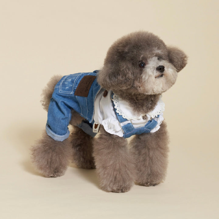 ※予約販売【meaningless】Gosomi Denim Pants