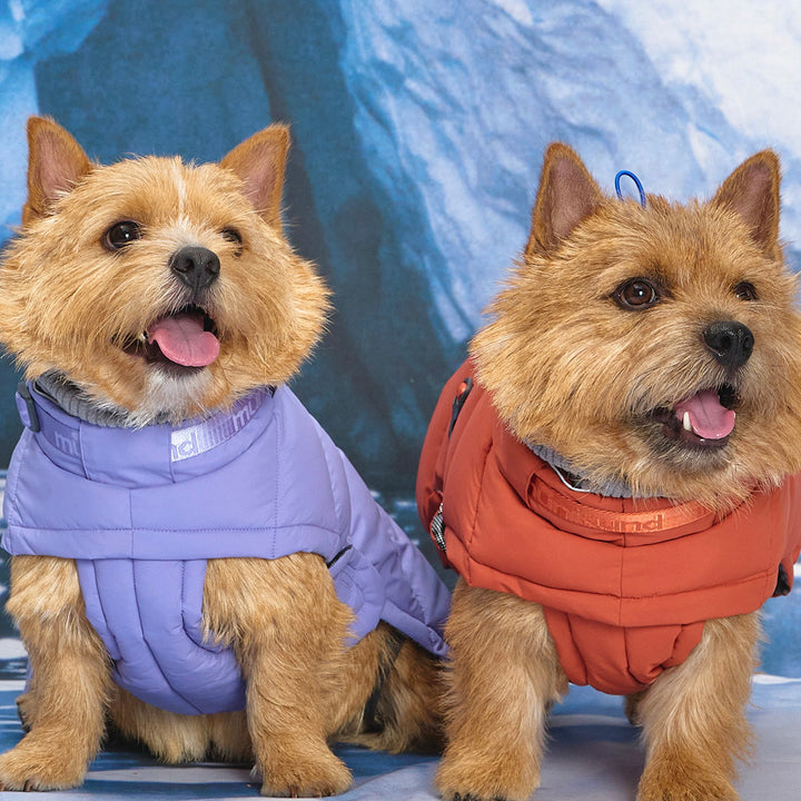 即納【munikund】Thermal Up Padding Air 2 -（Clay Brick）