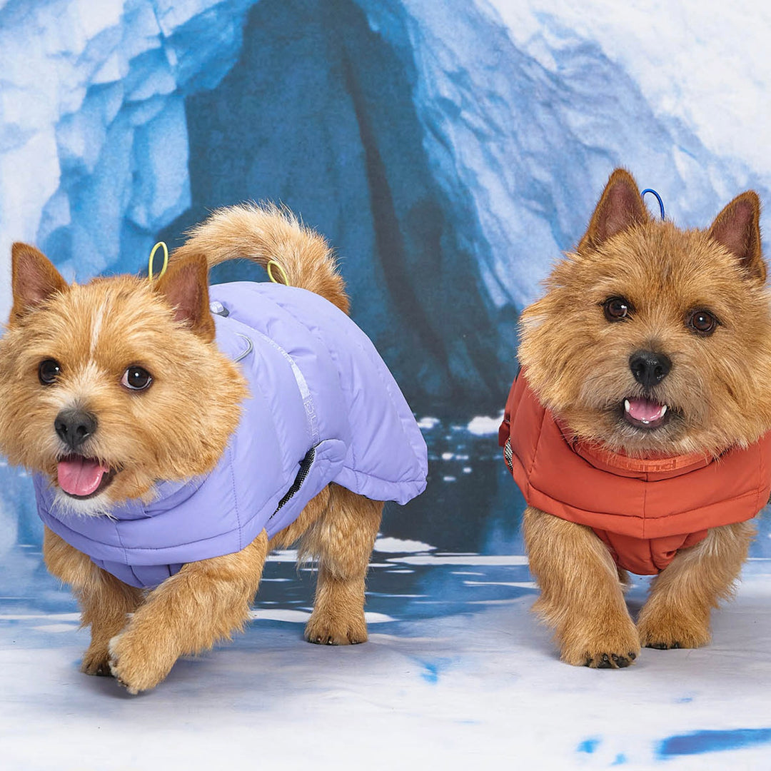 即納【munikund】Thermal Up Padding Air 2 -（Clay Brick）