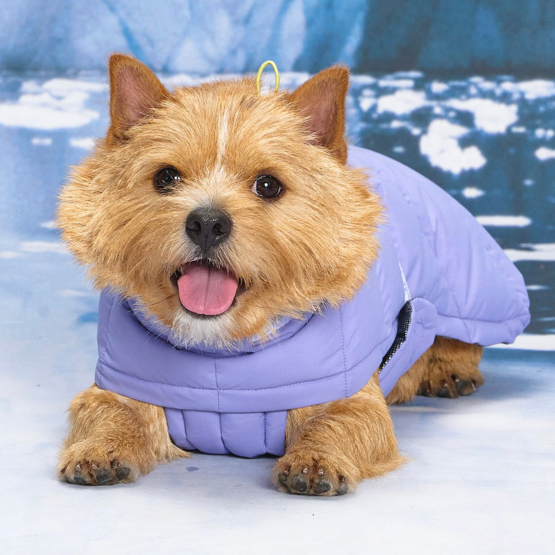 即納【munikund】Thermal Up Padding Air 2 -（Berry Blue）