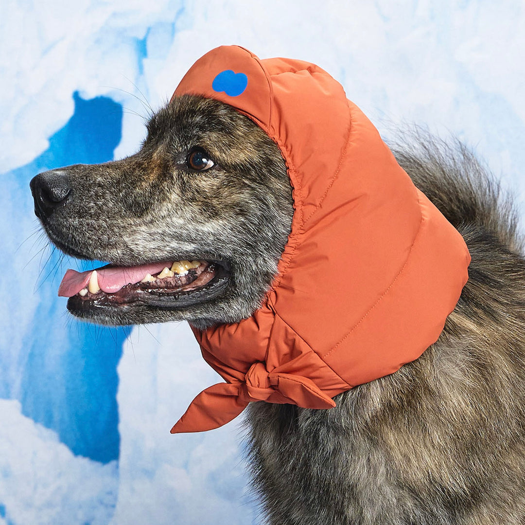 ※予約販売【munikund】Thermal Up Padding Air Cap 2 -（3 Colors）