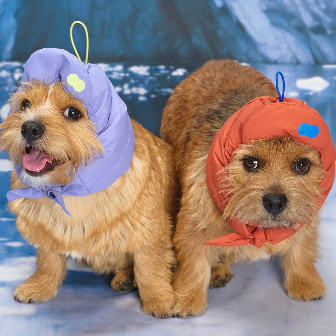 ※予約販売【munikund】Thermal Up Padding Air Cap 2 -（3 Colors）