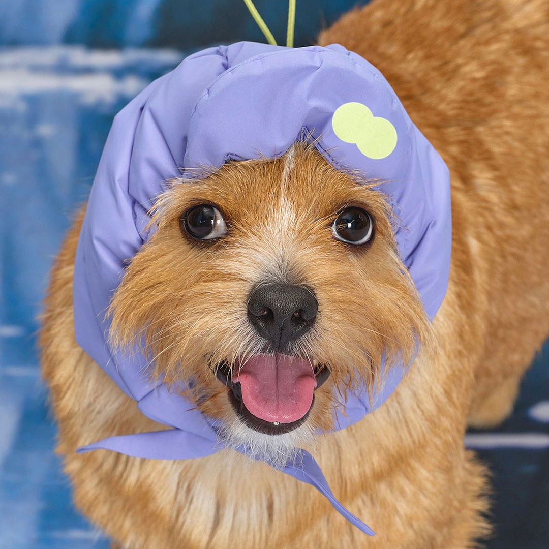 ※予約販売【munikund】Thermal Up Padding Air Cap 2 -（3 Colors）