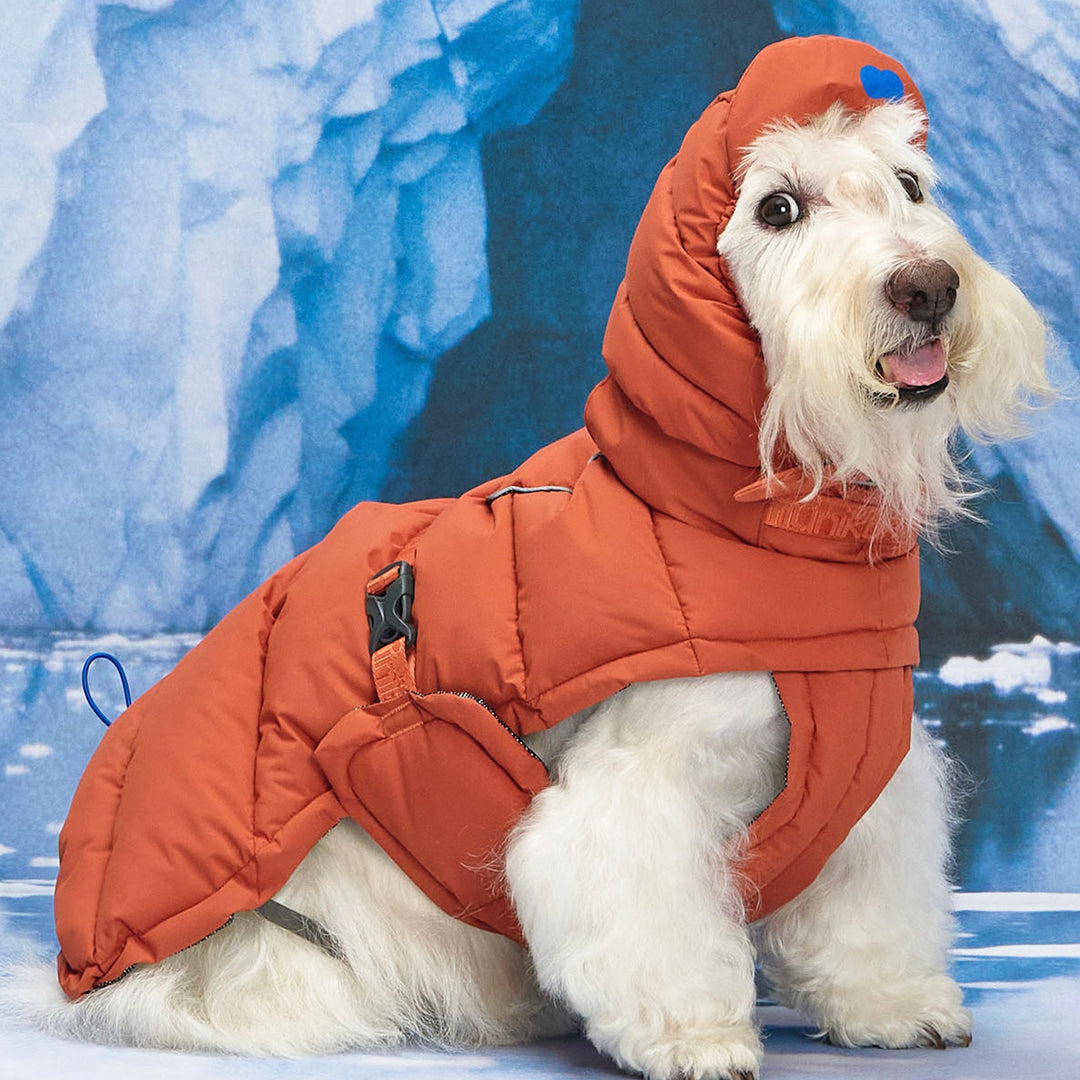 ※予約販売【munikund】Thermal Up Padding Air Cap 2 -（3 Colors）