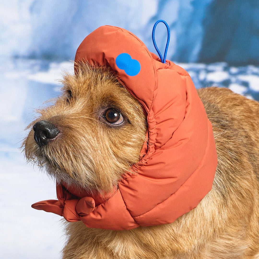 ※予約販売【munikund】Thermal Up Padding Air Cap 2 -（3 Colors）