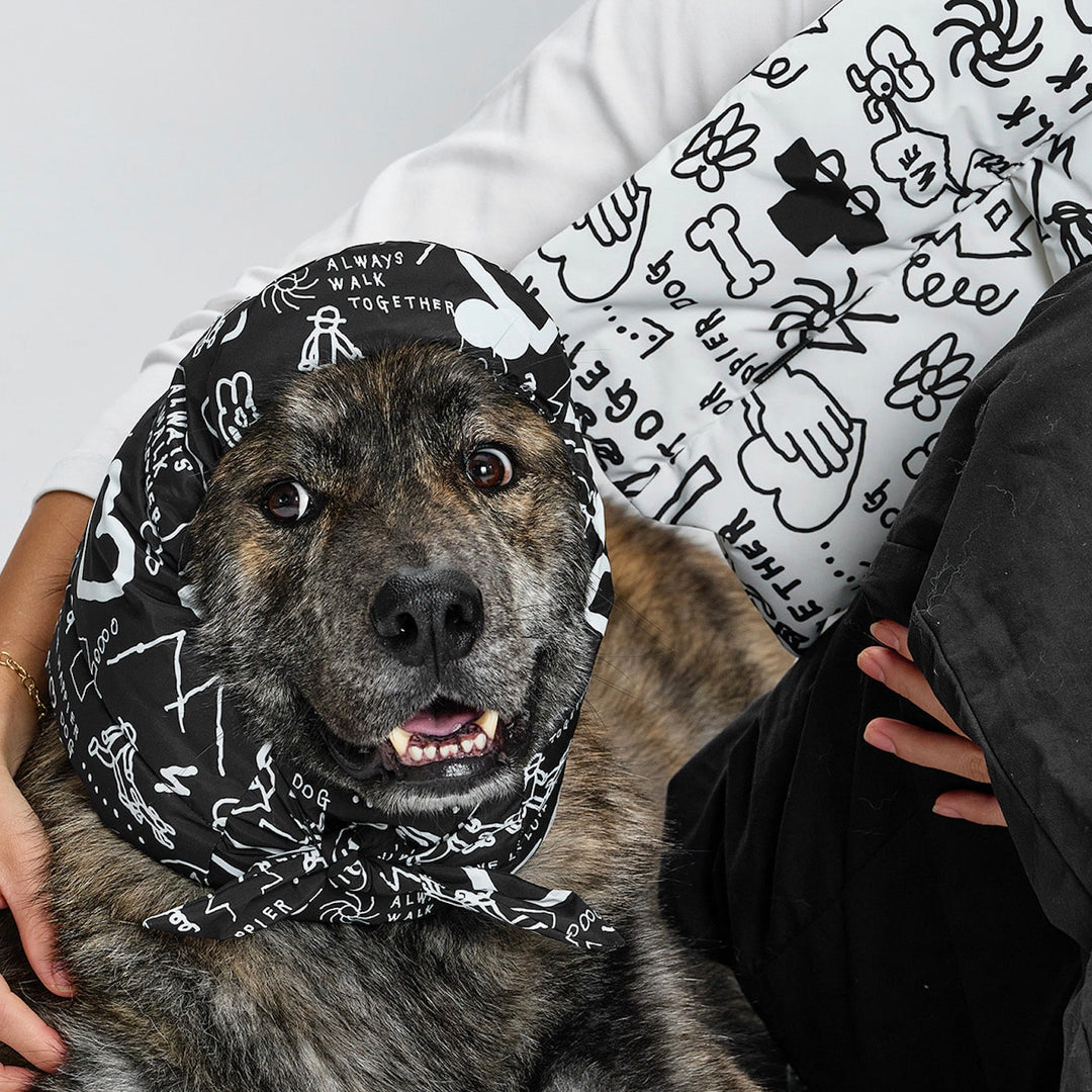 ※予約販売【munikund】munikund × INAPSQUARE Thermal Up Air Neck Warmer（2 Colors）