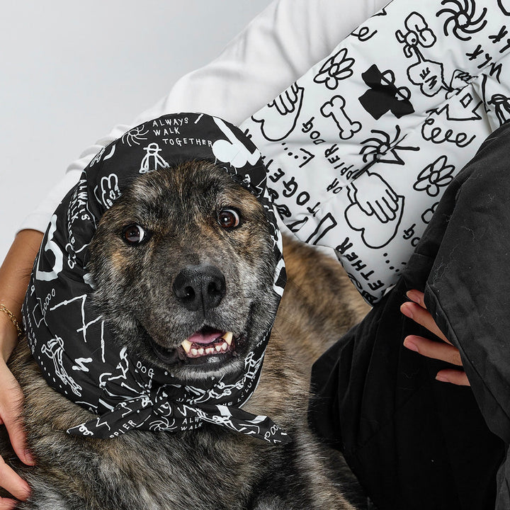 ※予約販売【munikund】munikund × INAPSQUARE Thermal Up Air Neck Warmer（2 Colors）