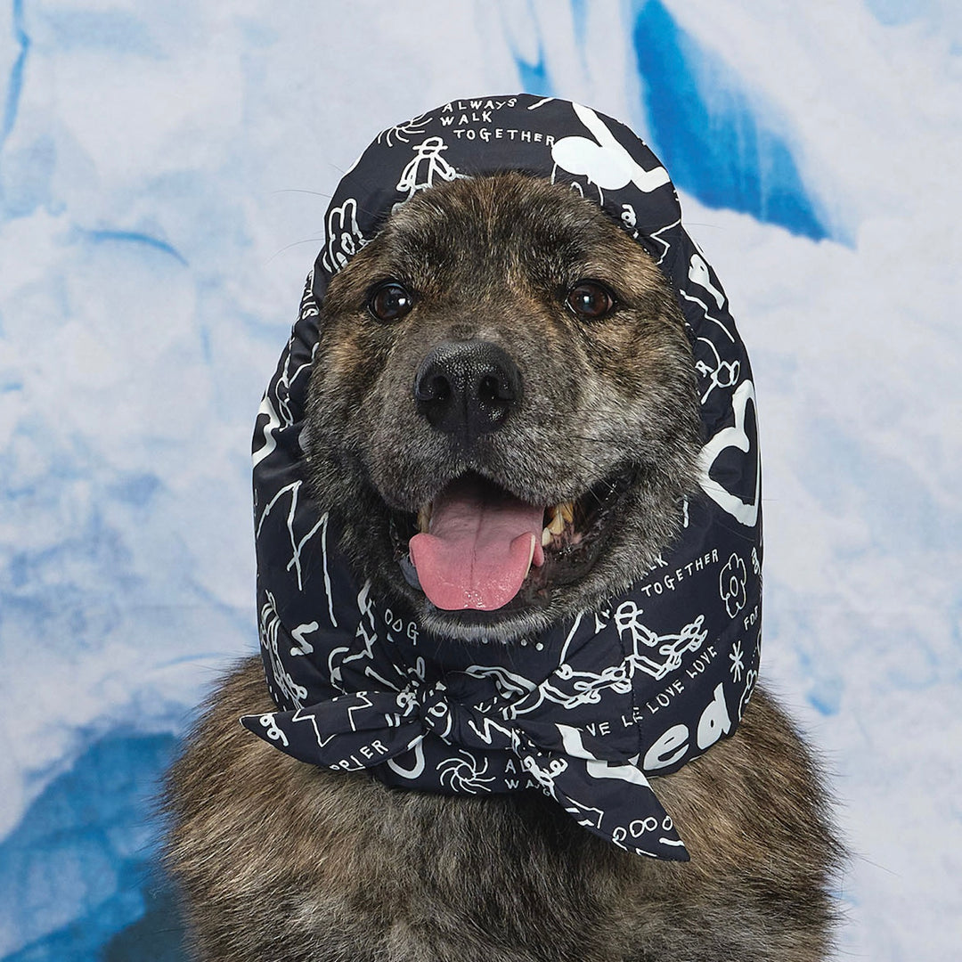 ※予約販売【munikund】munikund × INAPSQUARE Thermal Up Padding Air Cap 2 - INAP（2 Colors）