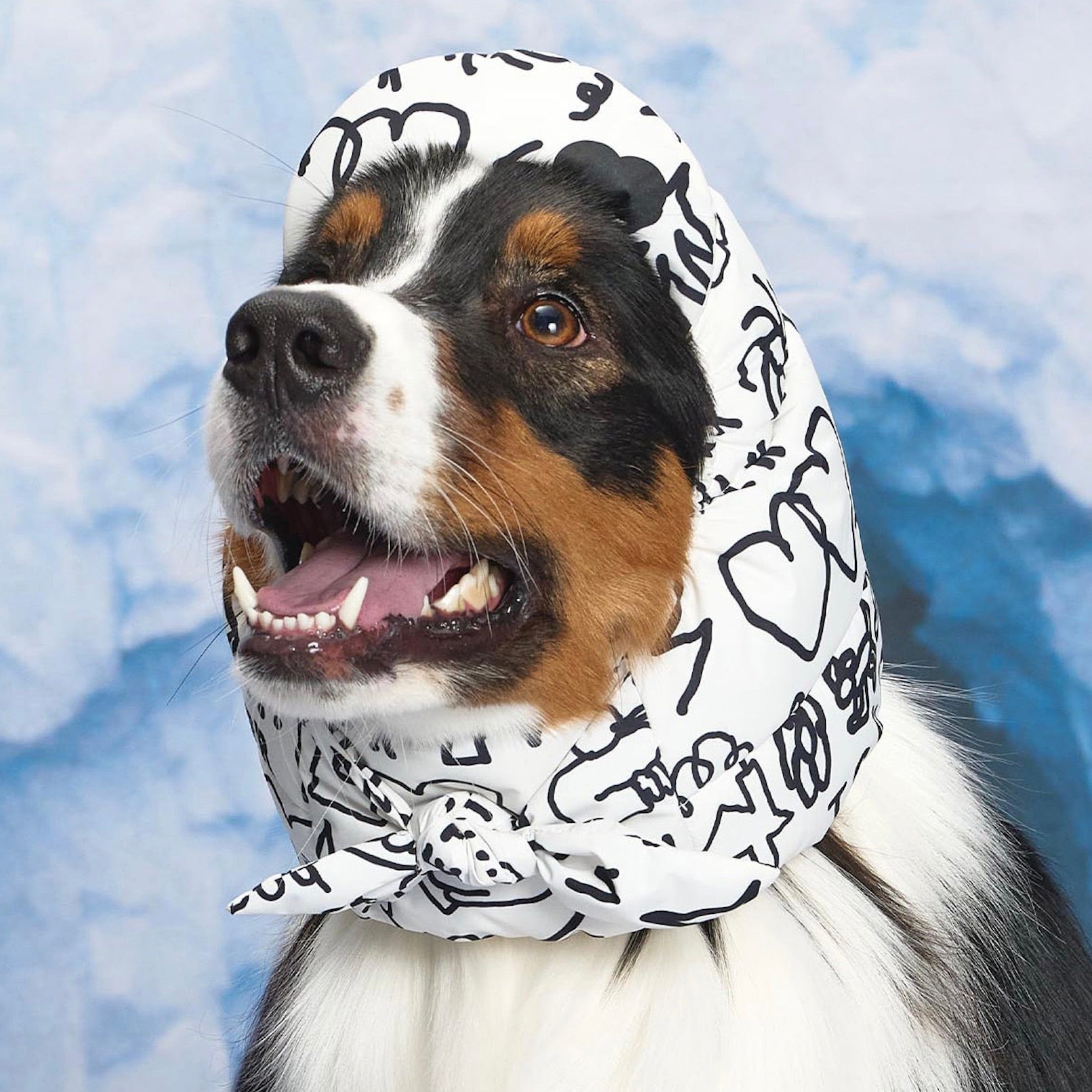 東京ファンミPR猟犬2枚 東京ファンミPR猟犬2枚 スキージョアリングandスノーカニクロスin信濃