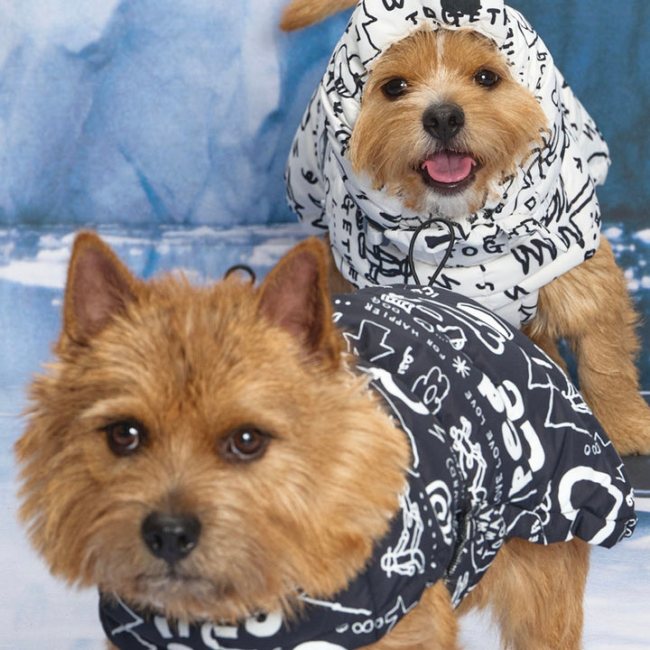 ※予約販売【munikund】munikund × INAPSQUARE Thermal Up Padding Air 2 - INAP（Black）