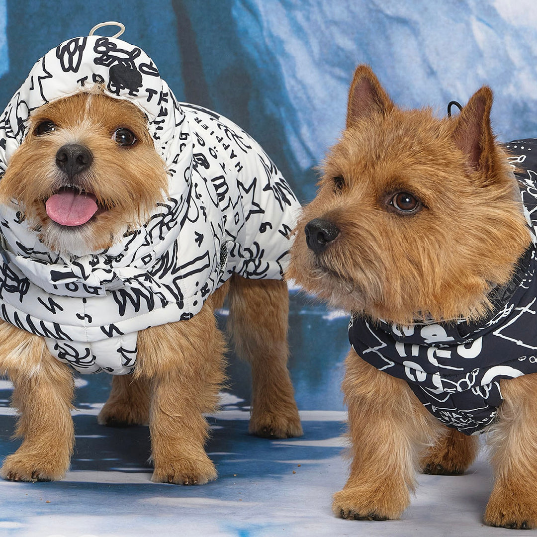 ※予約販売【munikund】munikund × INAPSQUARE Thermal Up Padding Air 2 - INAP（Black）