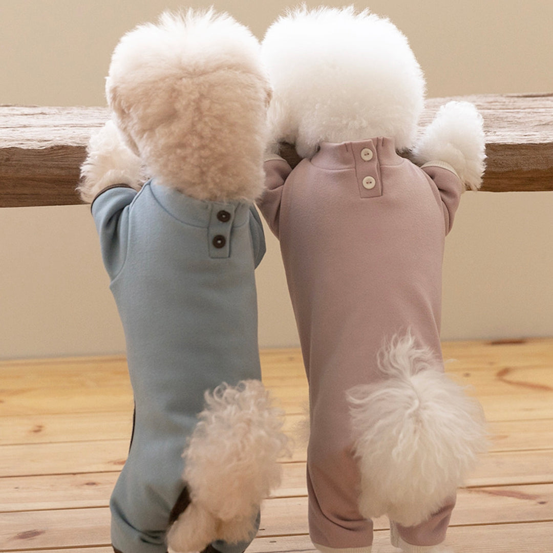 ※予約販売【ssfw】Easy Cozy All in One（3colors）