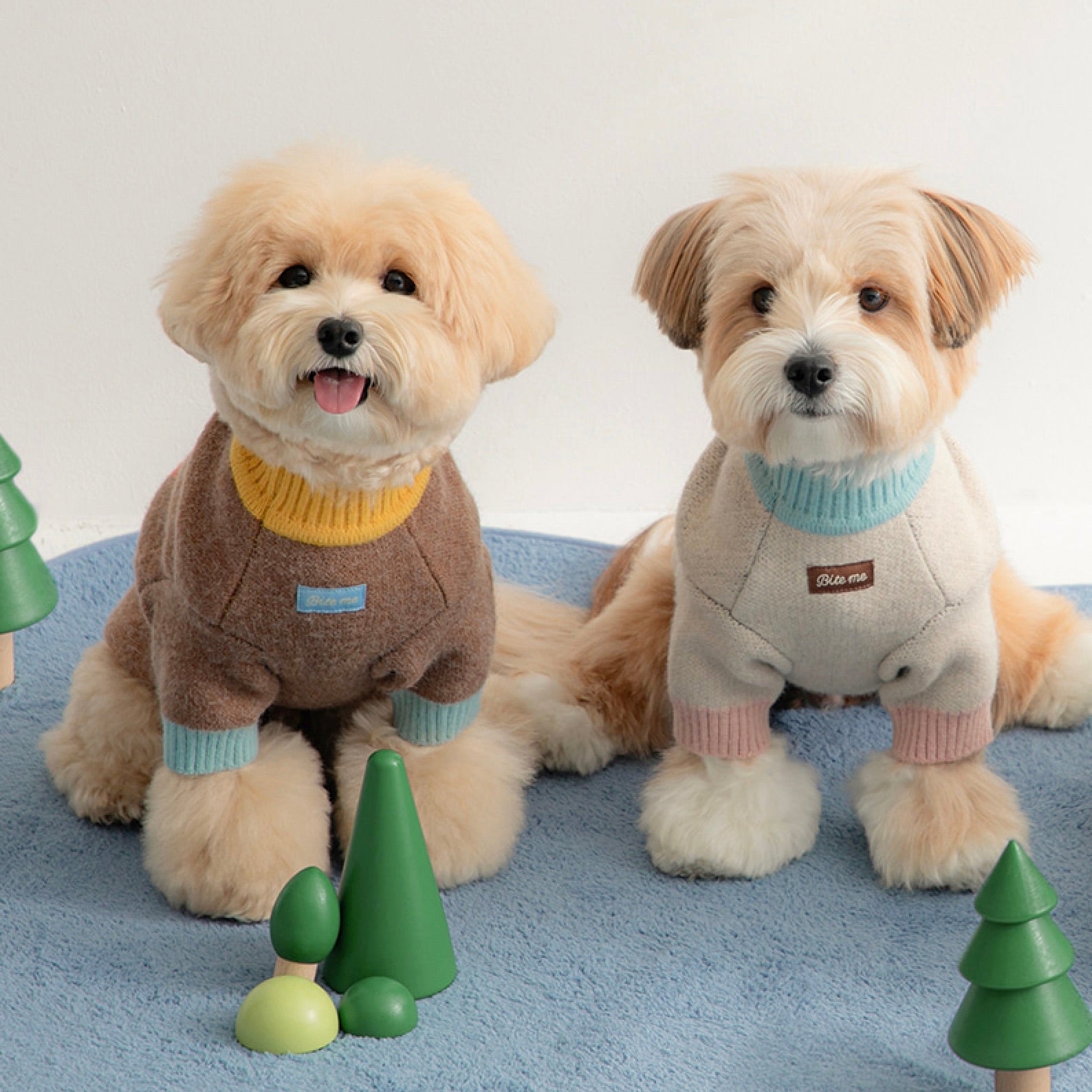 sky♡●犬服●ハンドメイド 🍂出店者紹介🍂 ハンドメイド犬服ティアラ @nail_tiara わくわく