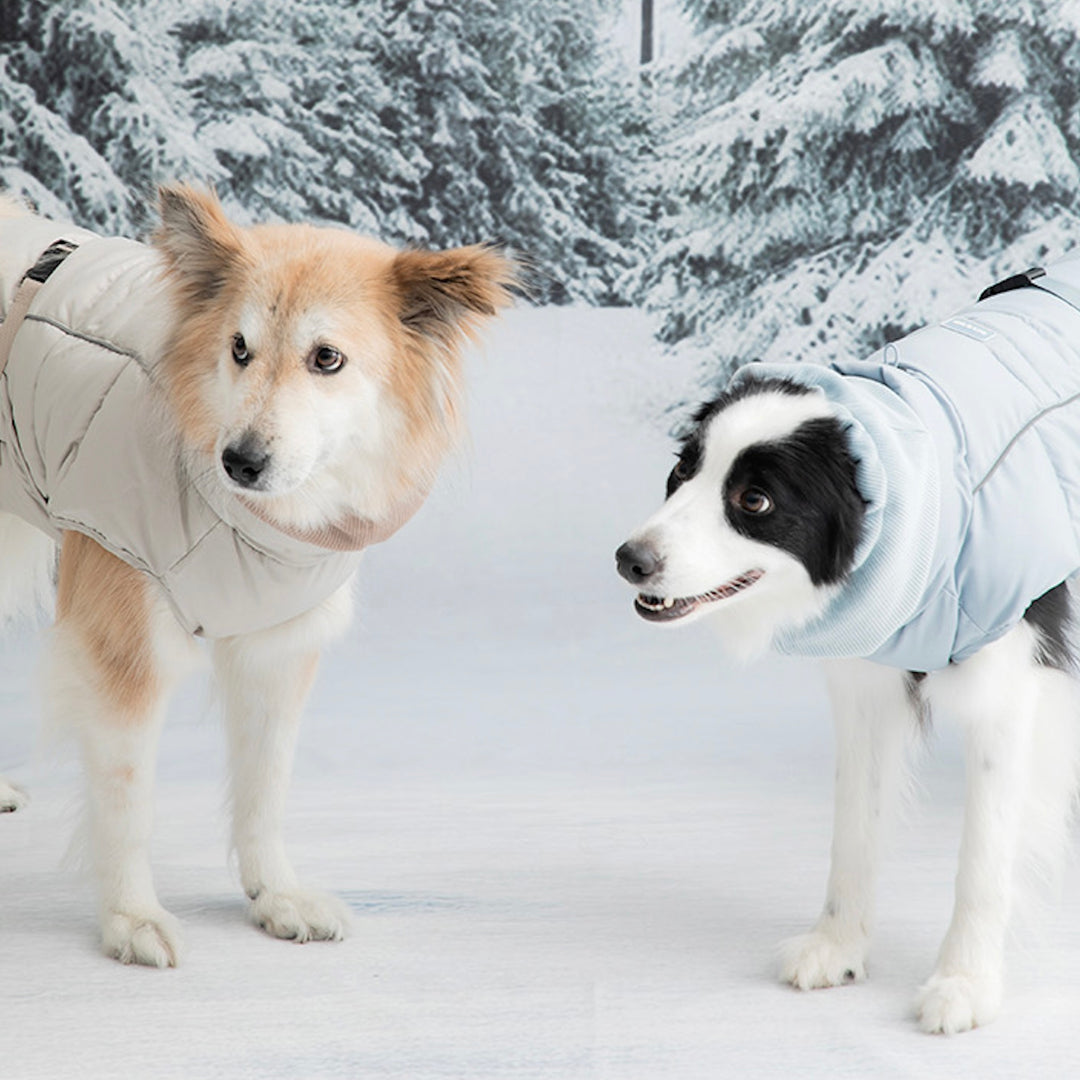 即納【BITE ME】Double Heat Padding v3（Solid 2colors）