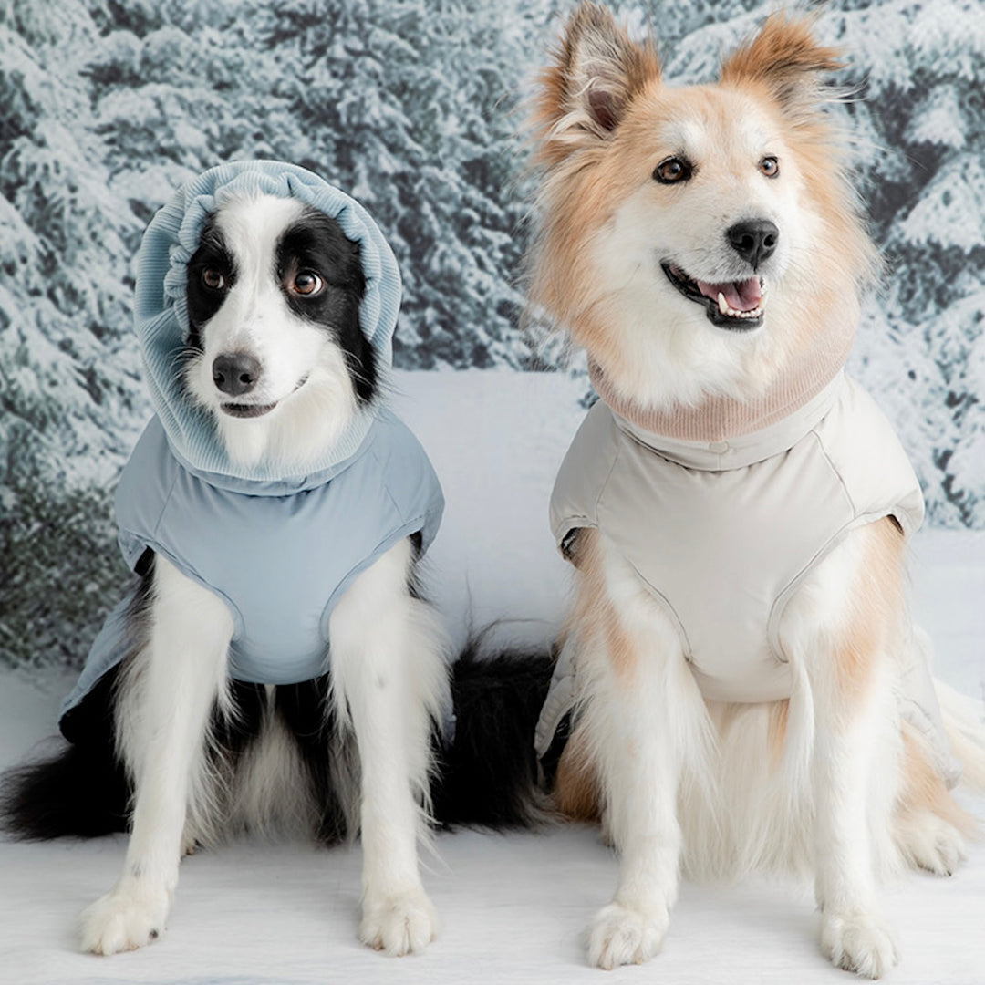 即納【BITE ME】Double Heat Padding v3（Solid 2colors）