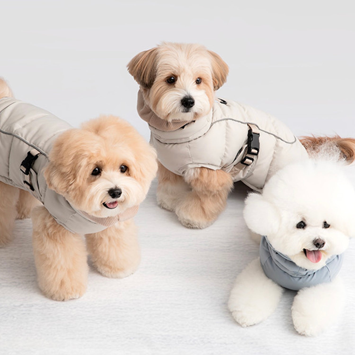 即納【BITE ME】Double Heat Padding v3（Solid 2colors）