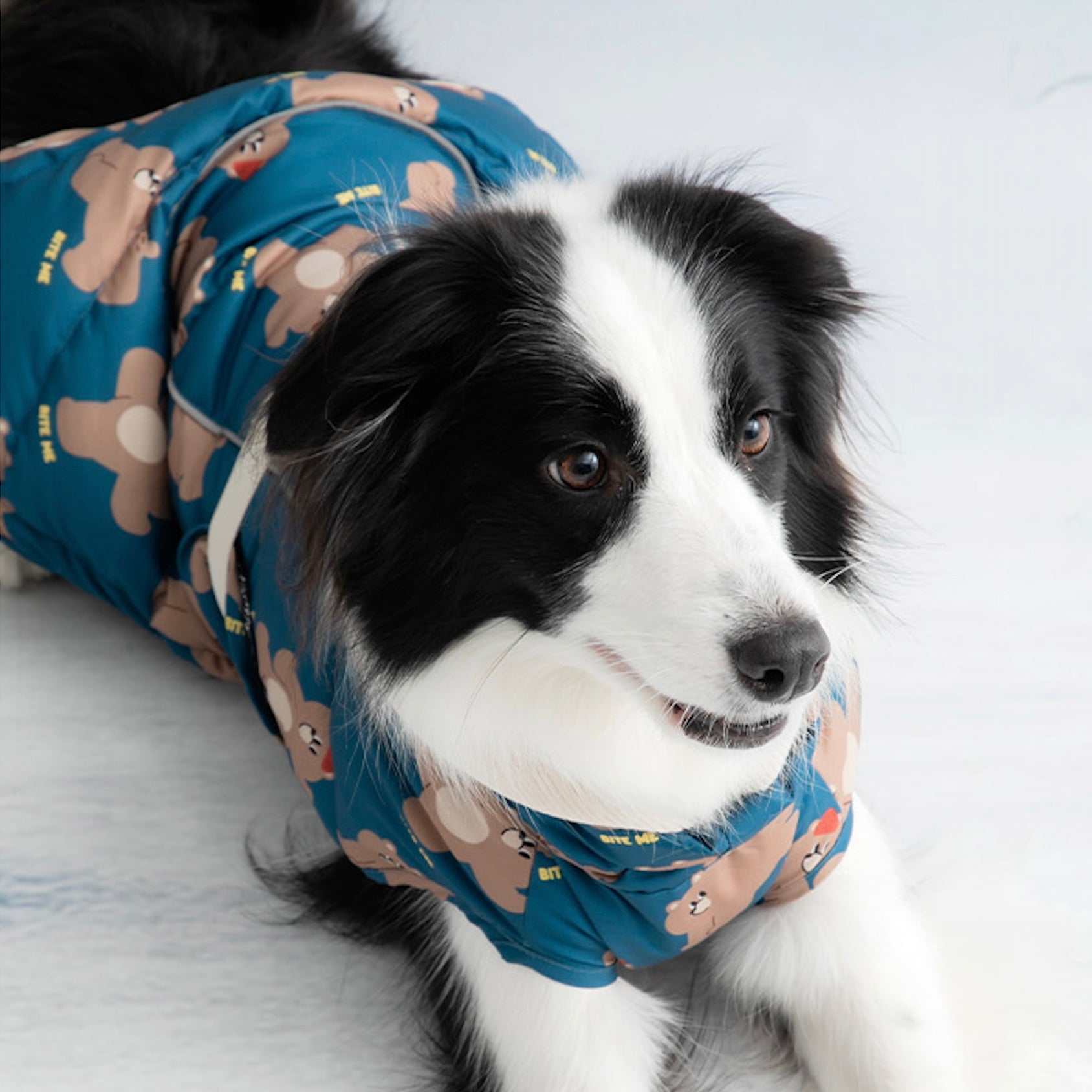 海外犬服 高品質なインポートのドッグウェア通販 