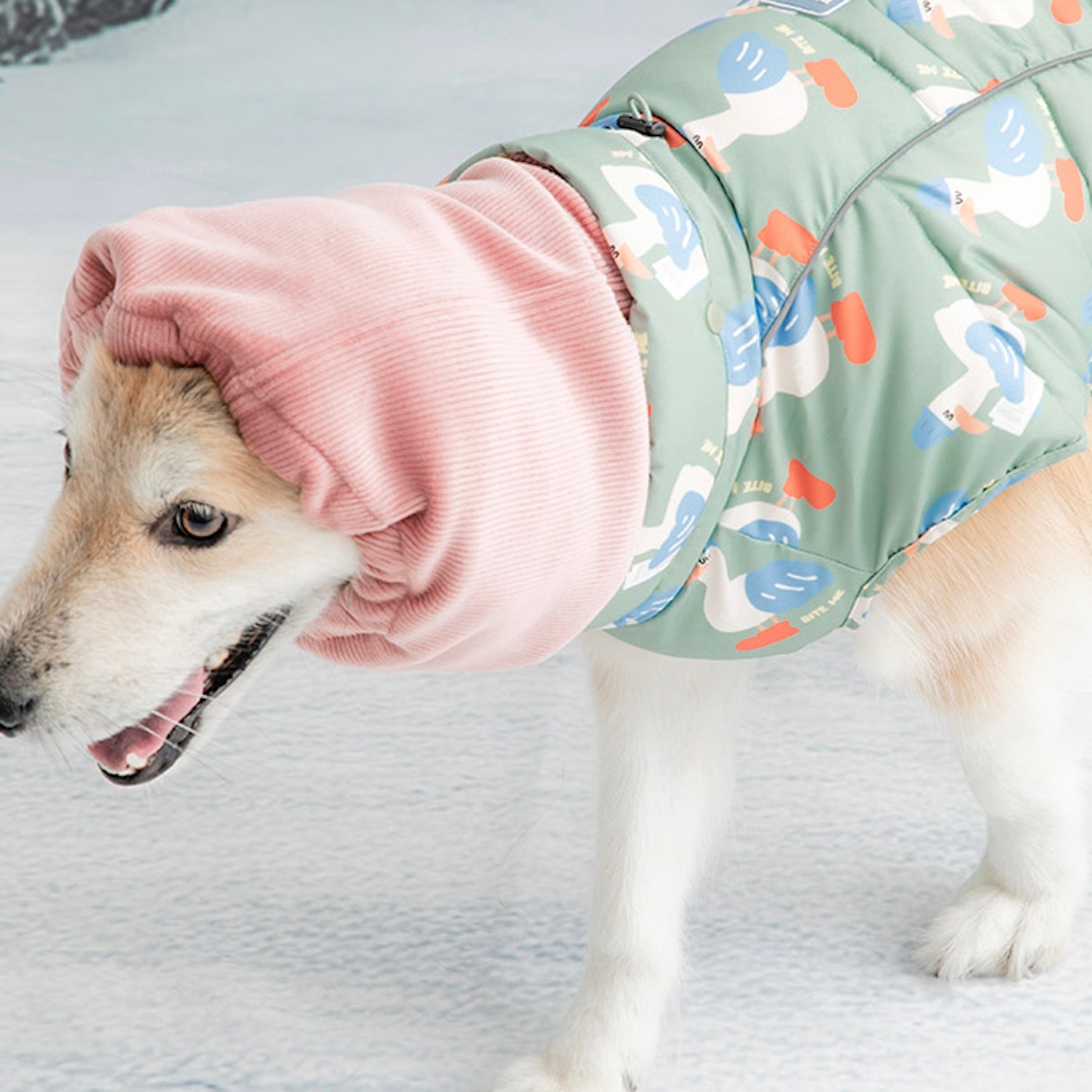 海外犬服 高品質なインポートのドッグウェア通販 