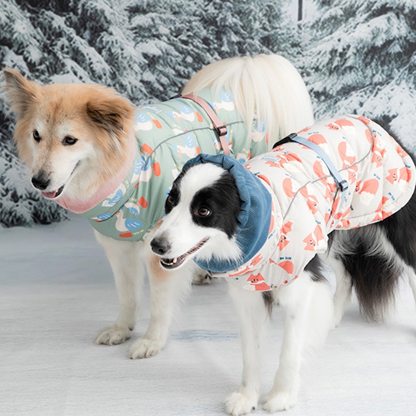 犬服　♡ピンクマミー♡ org.jpg