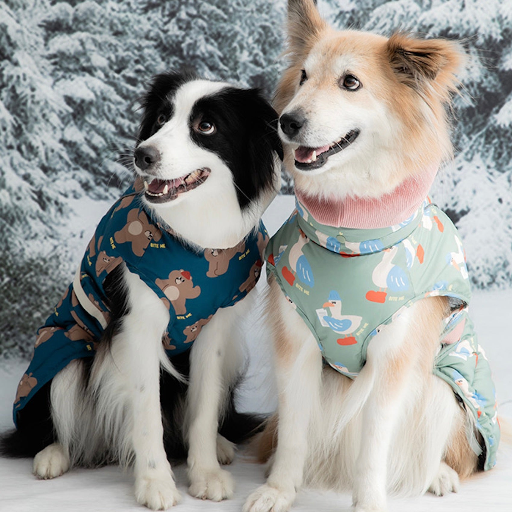 海外犬服 高品質なインポートのドッグウェア通販 