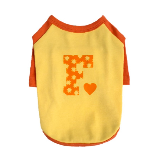 即納【FREDDIE TALE】F logo raglan tee（Orange）
