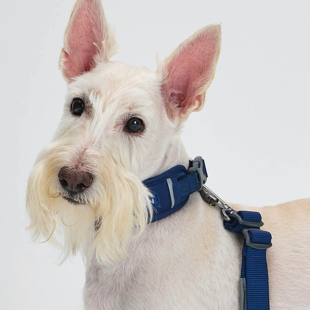 ※予約販売【munikund】TREKTAIL Collar - Navy